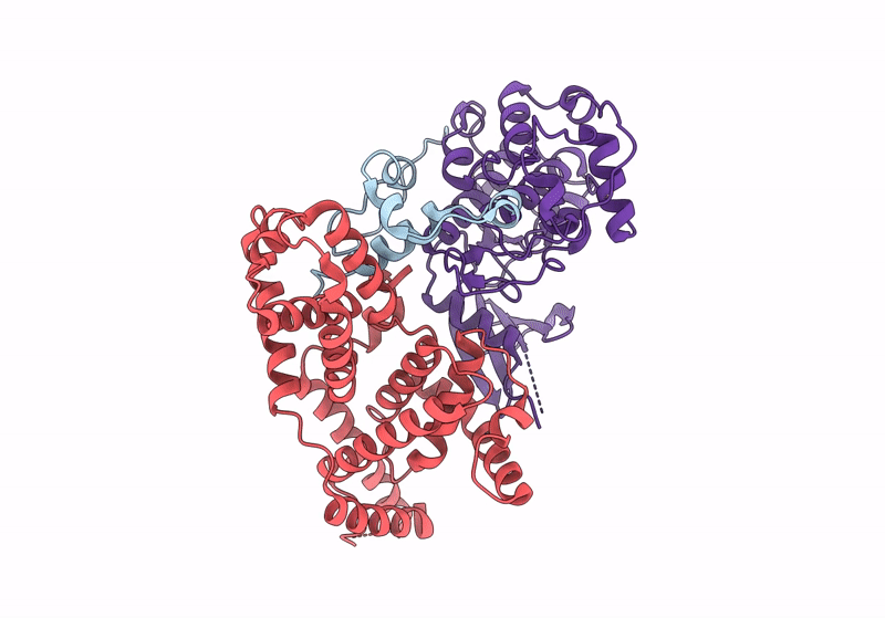 8P79 image