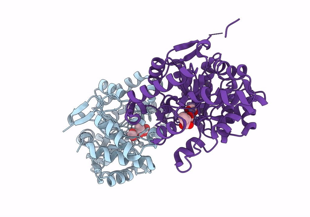 8P7K image
