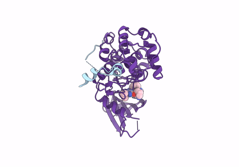 8P7L image