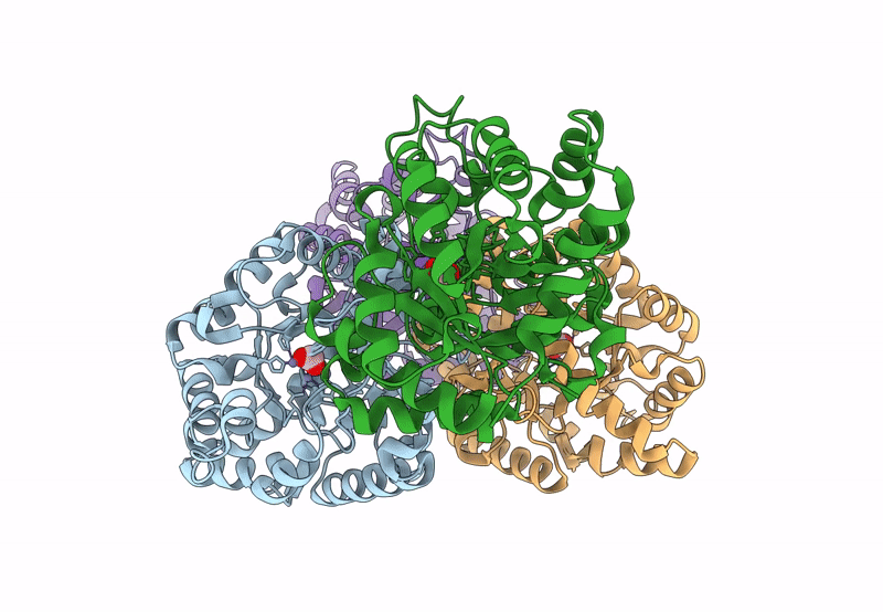 8P7N image