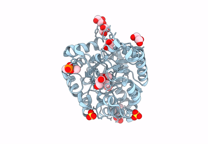 8P7T image