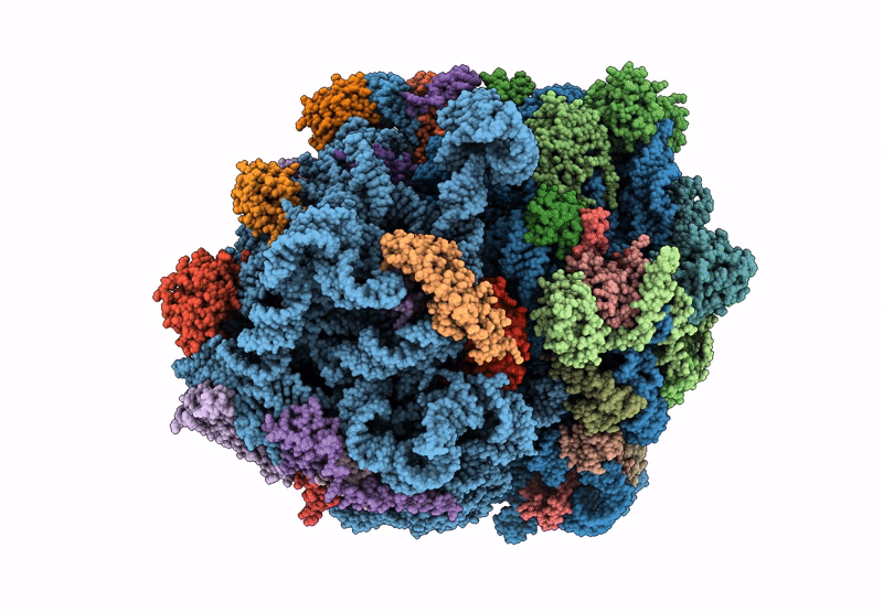 8P7X image