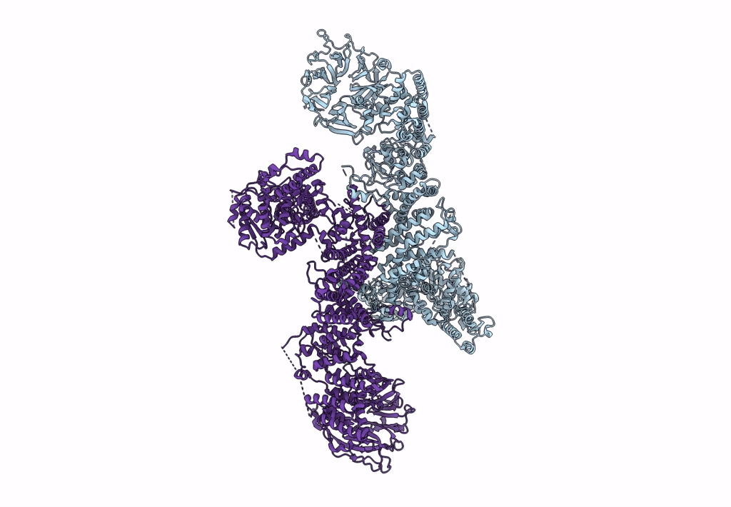 8P82 image