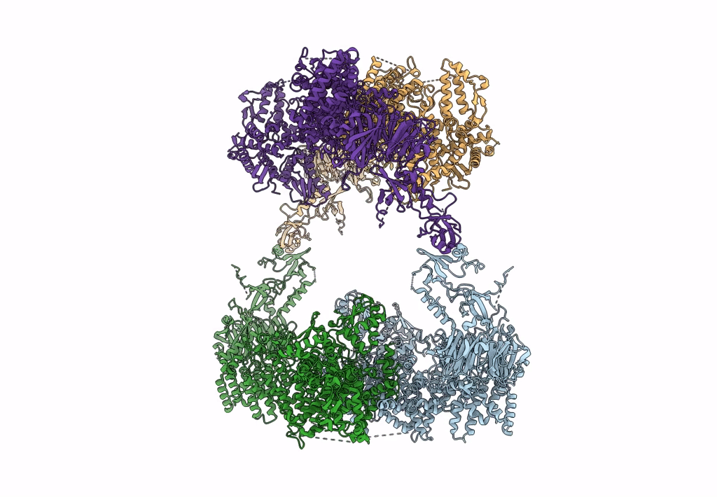 8P83 image