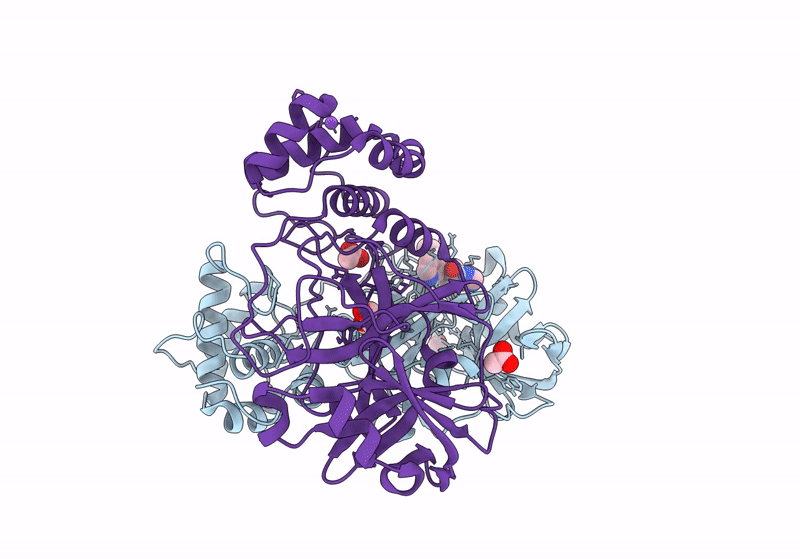 8P87 image