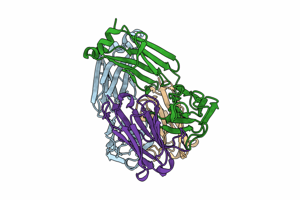 8P89 image