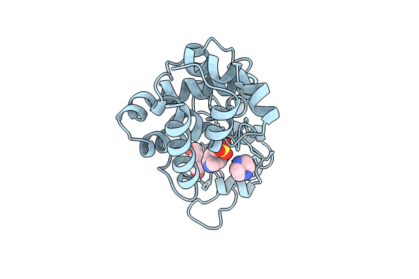 8P8E image