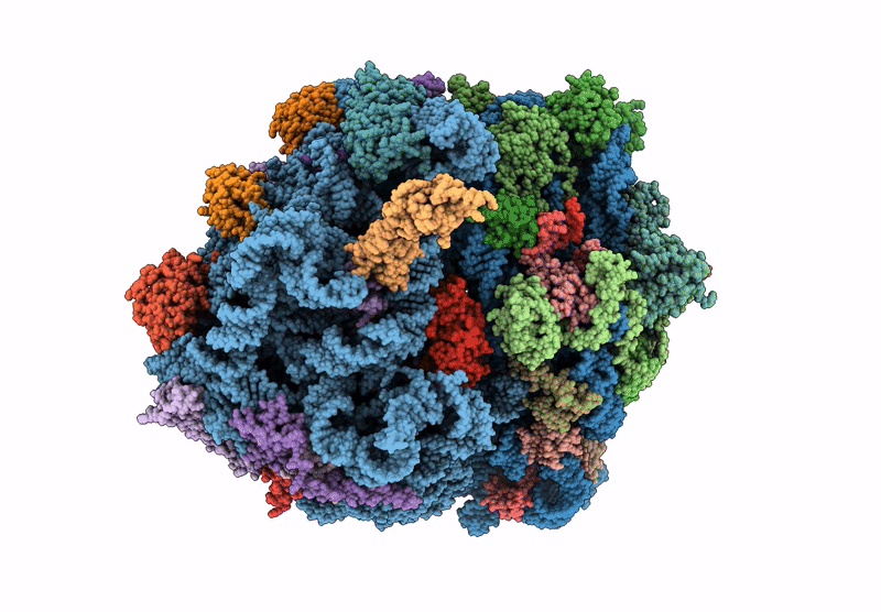 8P8V image