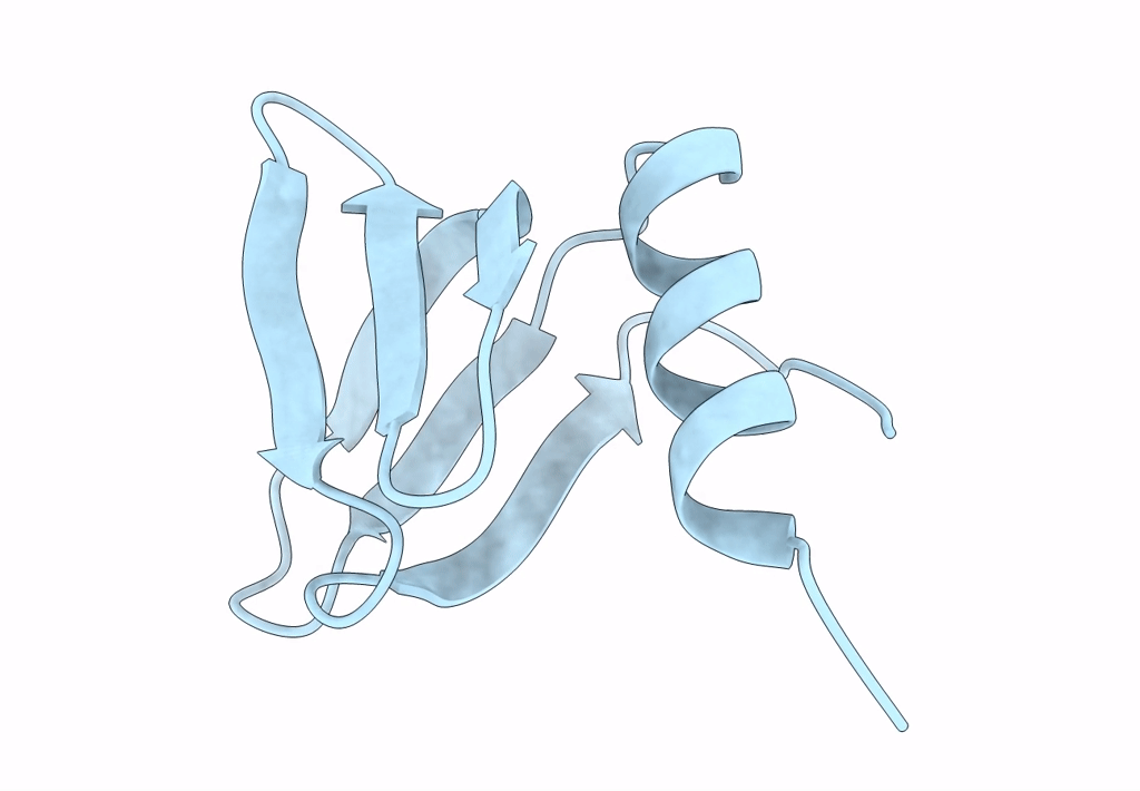 8P91 image