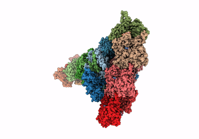 8P94 image