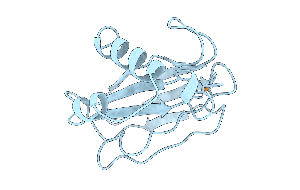 8PAZ image