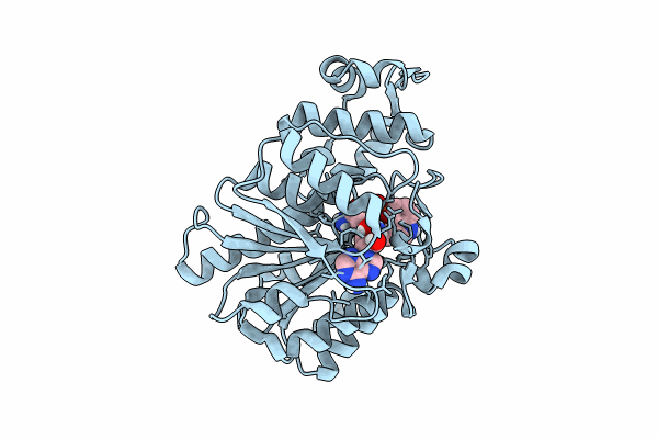 8PB5 image