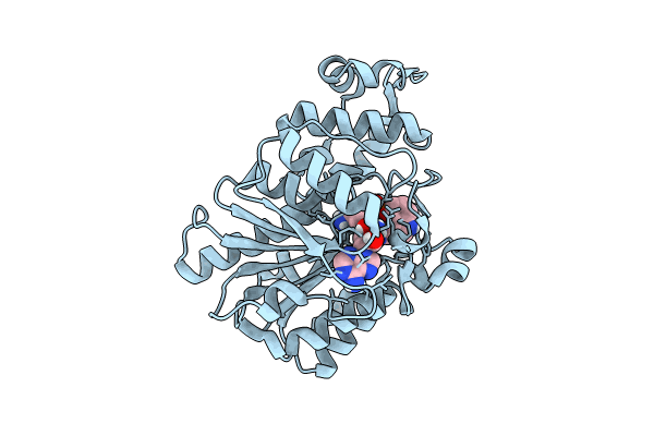 8PB7 image