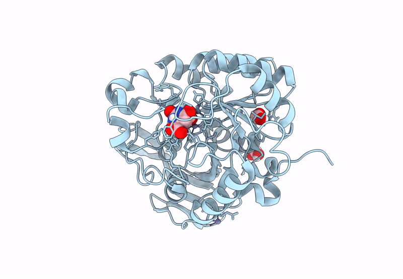 8PBP image