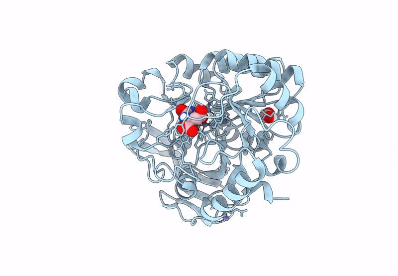8PBQ image