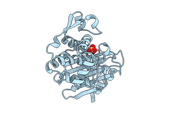 8PCA image