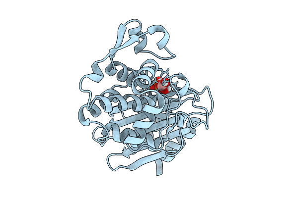 8PCF image
