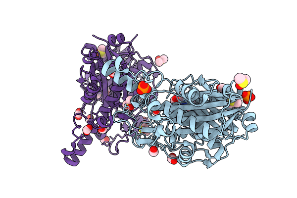 8PD1 image