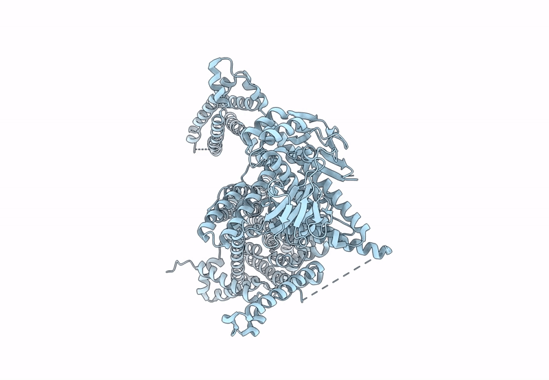 8PD2 image