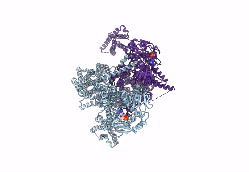 8PD8 image