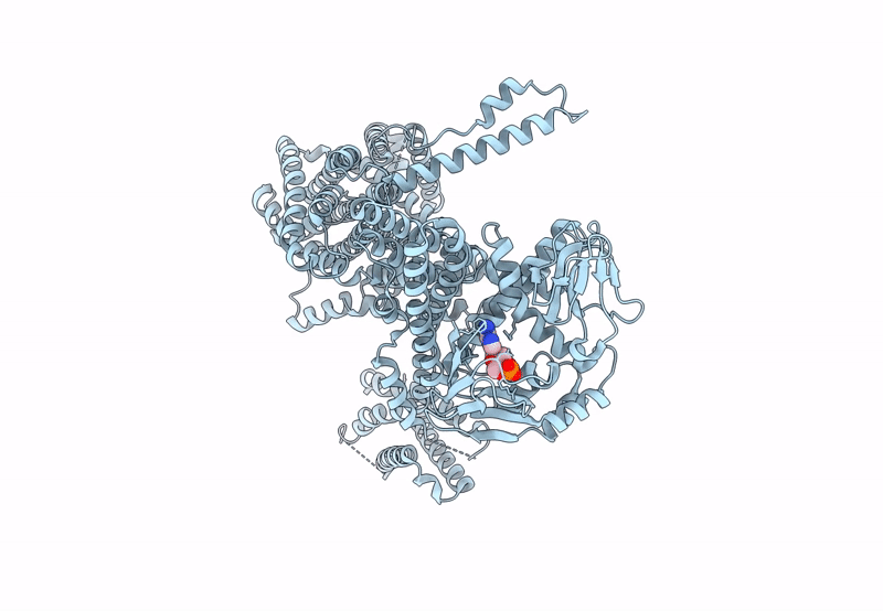 8PD9 image