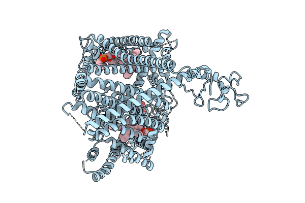 8PDA image