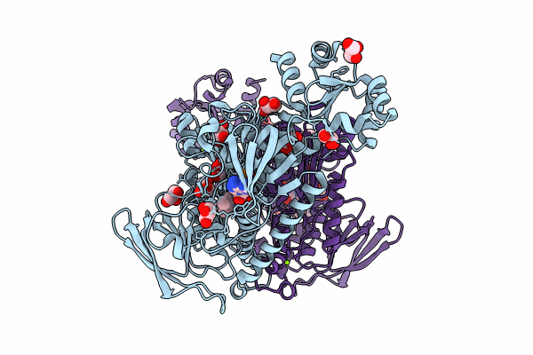 8PDD image