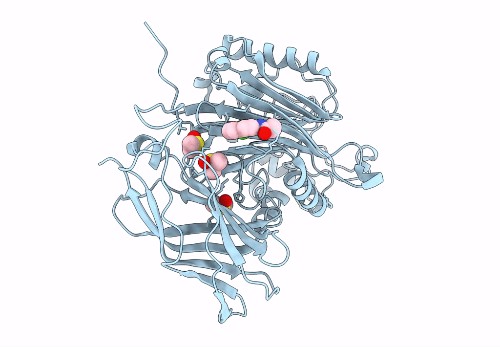 8PDG image