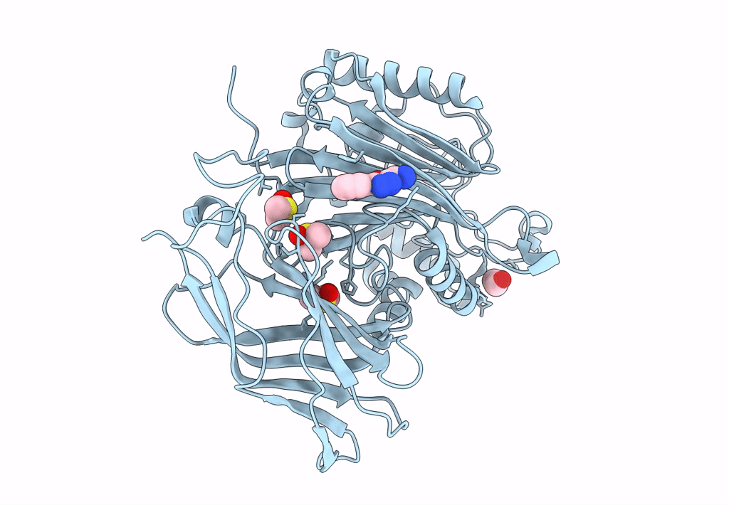 8PDH image