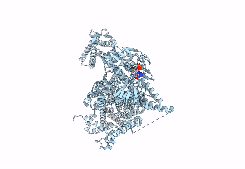 8PDV image