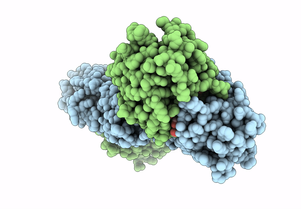 8PE3 image