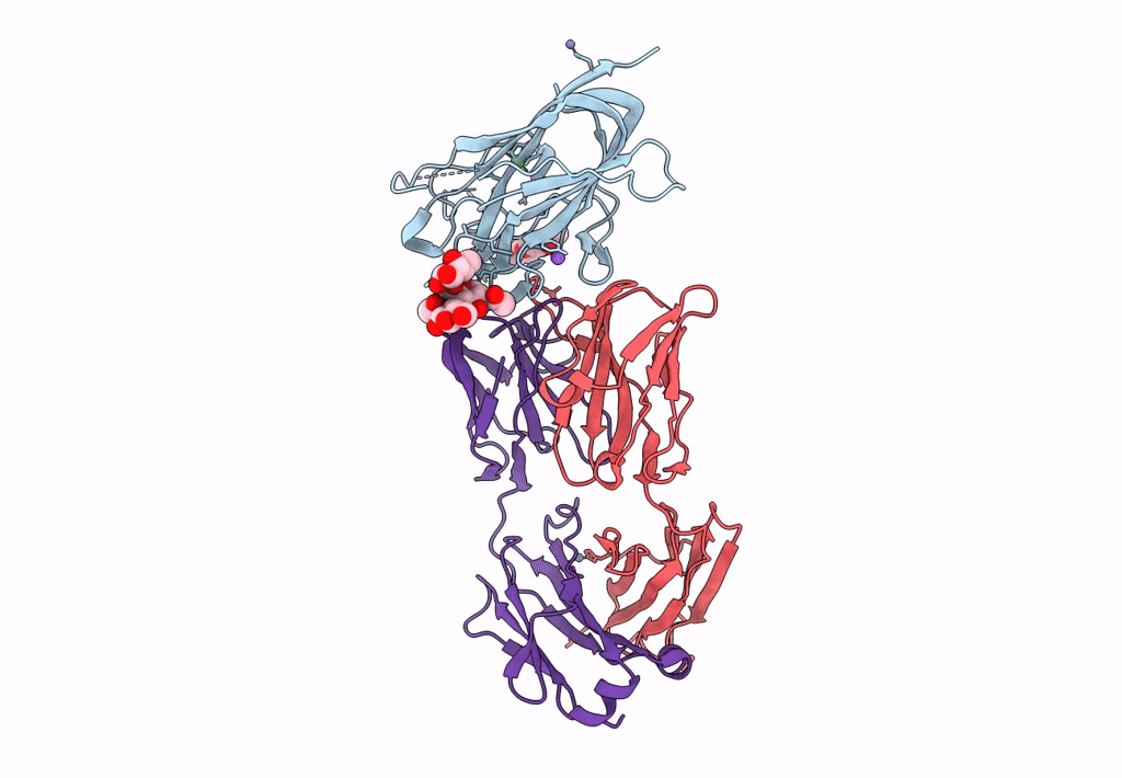 8PE9 image