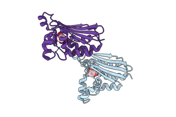 8PF2 image