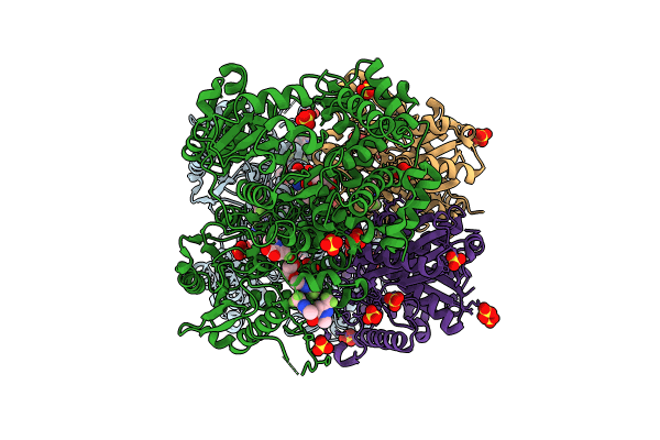 8PF8 image