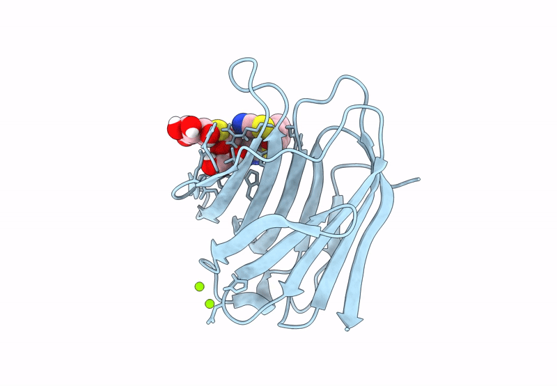 8PF9 image