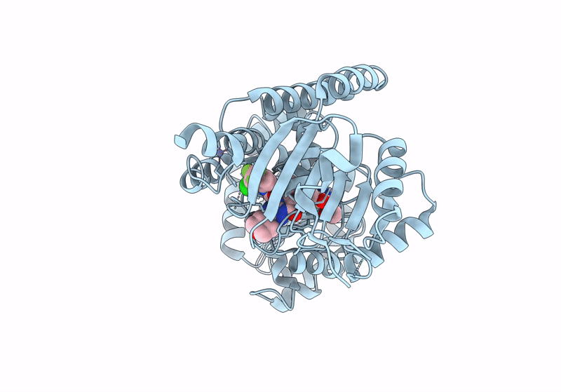 8PFO image