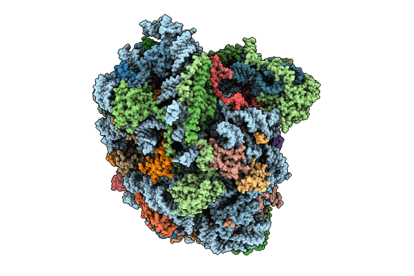 8PFR image
