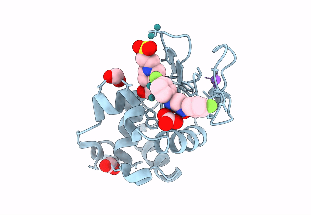 8PFX image