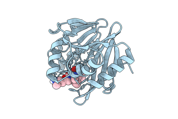 8PGC image