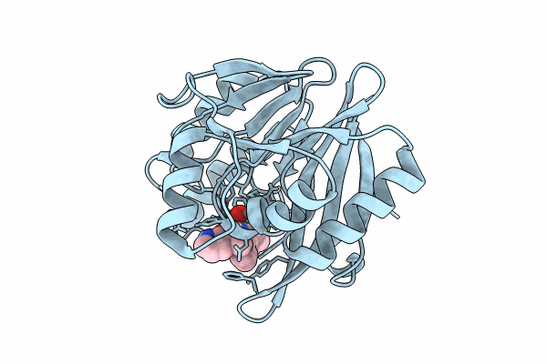 8PGG image