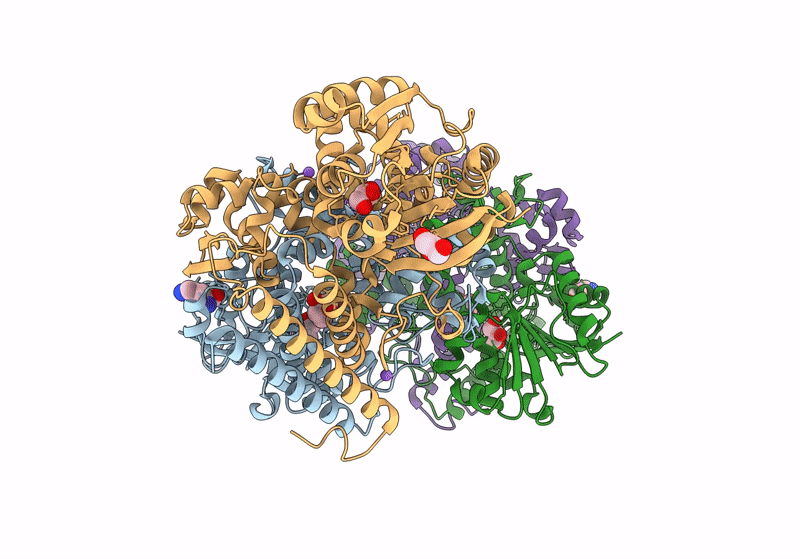 8PHA image