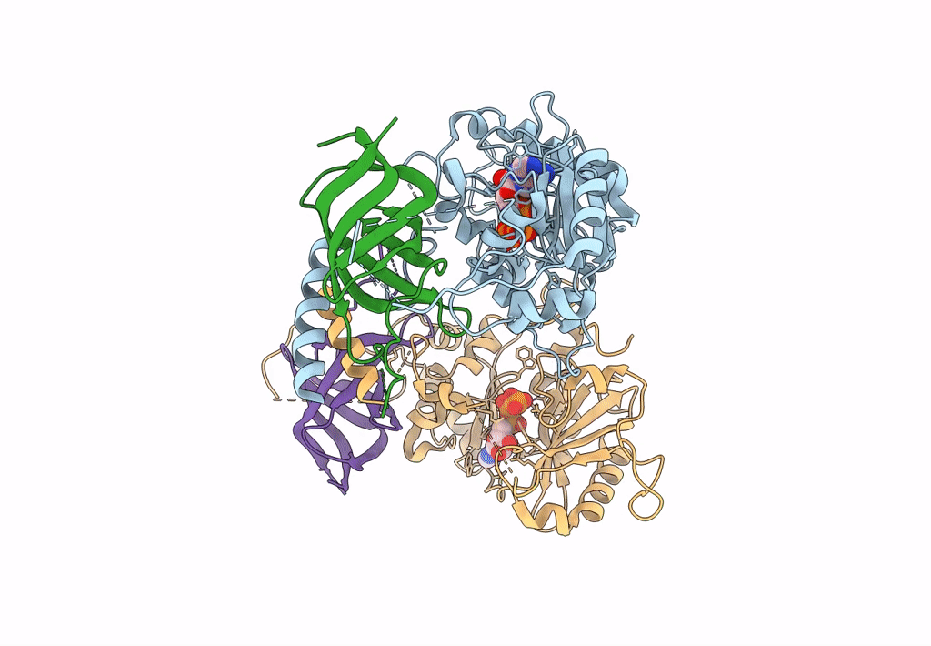 8PHD image
