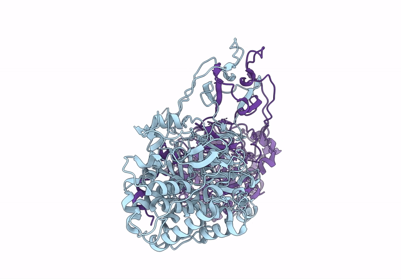 8PHH image