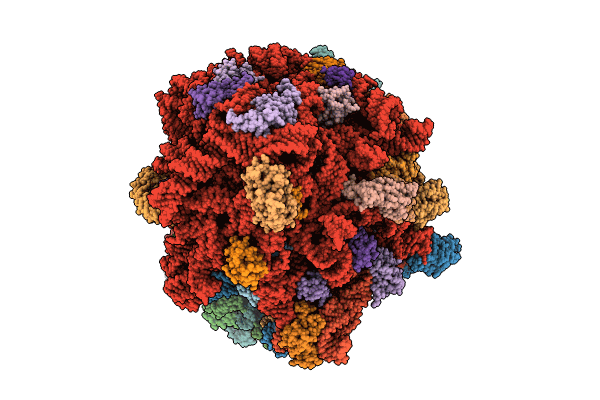 8PHJ image