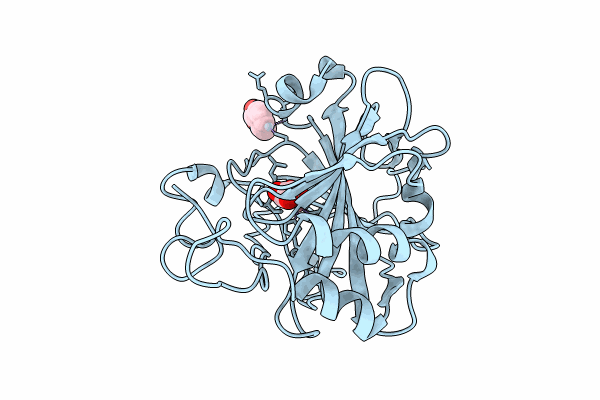8PHM image