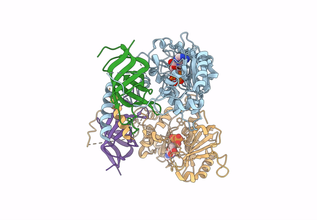 8PHV image