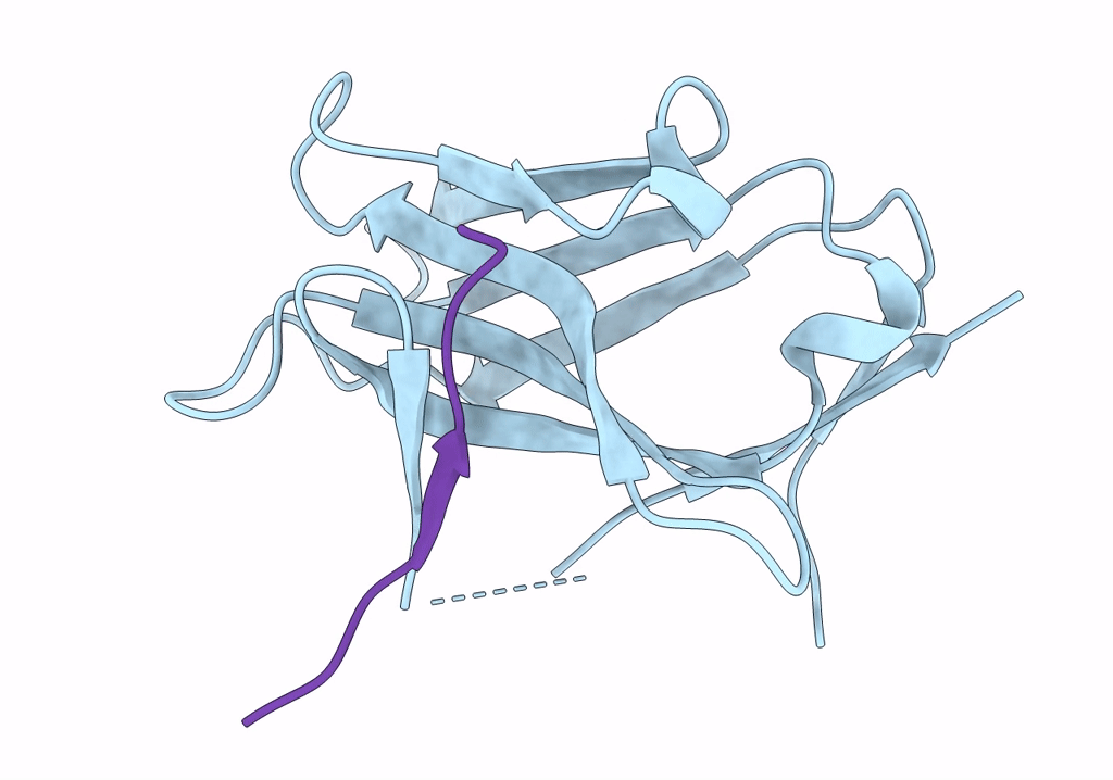 8PII image