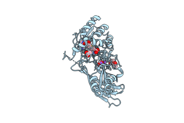 8PJD image