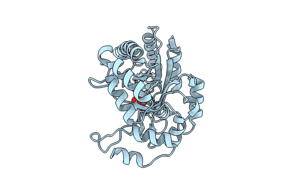8PKB image