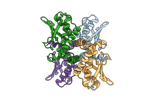 8PKD image